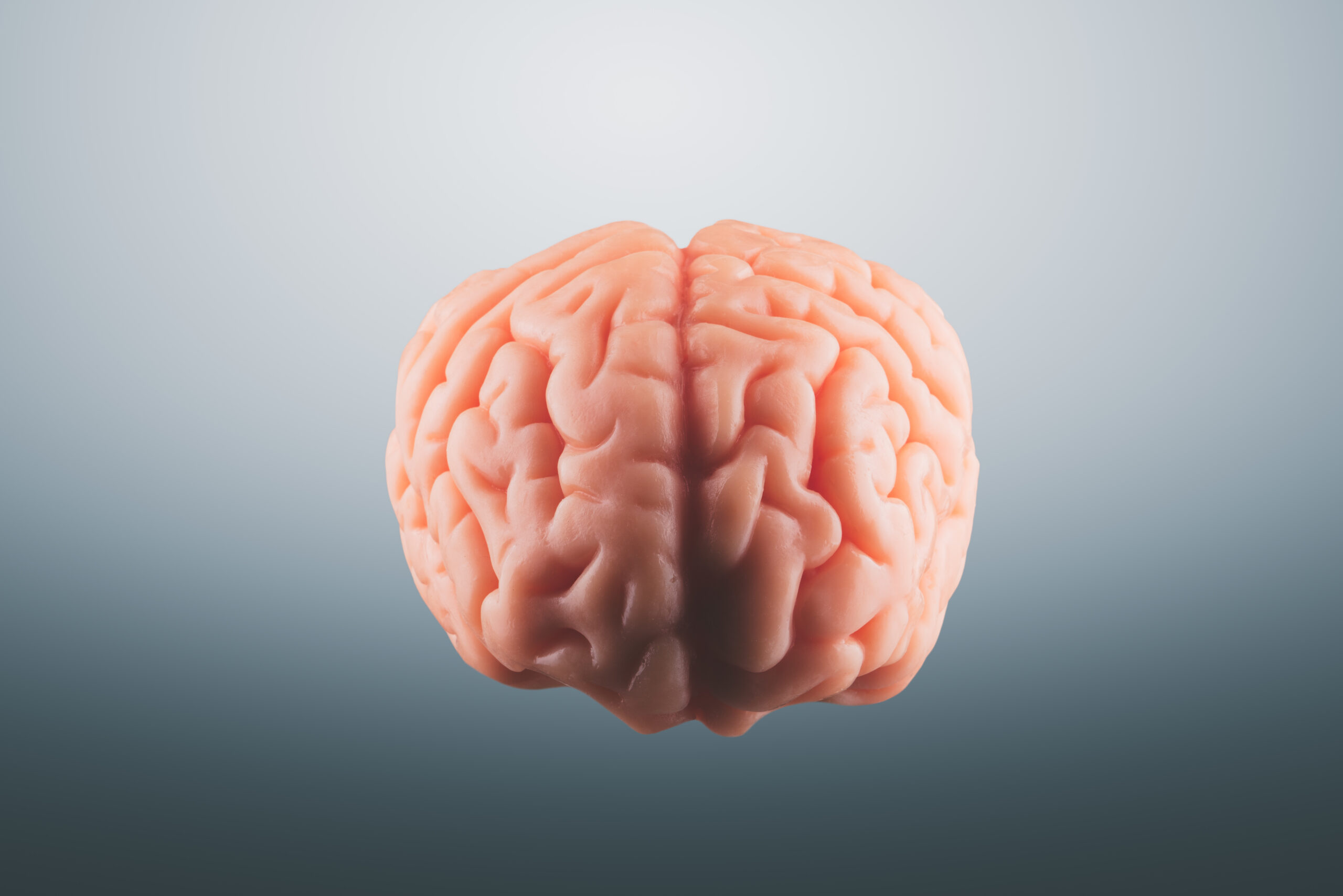 Featured image for “Trauma: Two Significant Brain Changes”